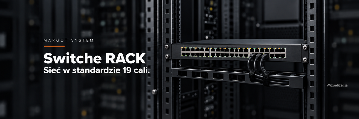 Switche RACK — wizualizacja, baner z bezpiecznym kadrowaniem